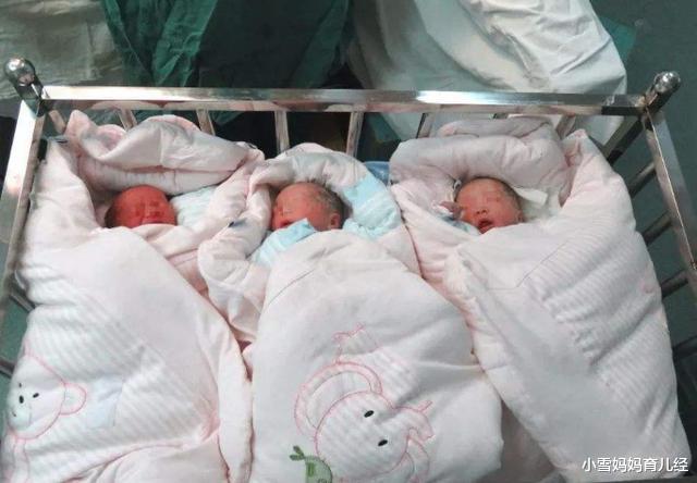 小雪妈妈育儿经|“公”姓爸爸为三胞胎取名发愁,奶奶随口一取,民警连连称赞