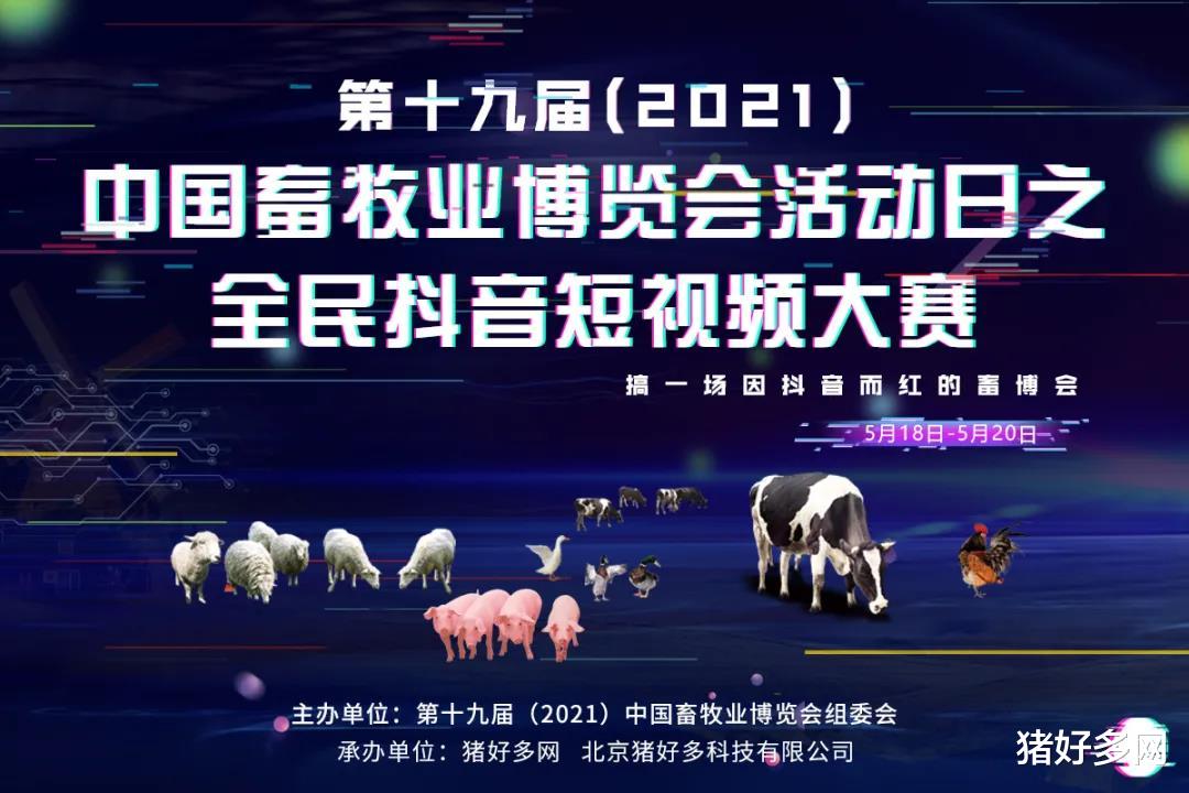 生猪价格 4月13日15公斤仔猪价格,猪价开启“逆袭”之路,这波补栏稳了?