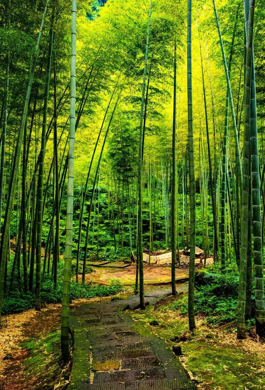 黄果树瀑布 《国家地理》评选中国一生必去的50个地方，我去过26个，你呢？