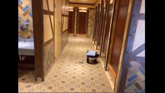 树艺蛙APP|女更衣室男孩含量太高，“太子”妈的操作，还在把猥亵当成纯真？