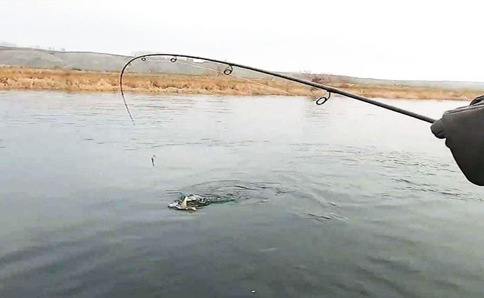 |黄酒流入湖中，鱼儿“喝醉”飘起被人捞走，钓友：给我留几条