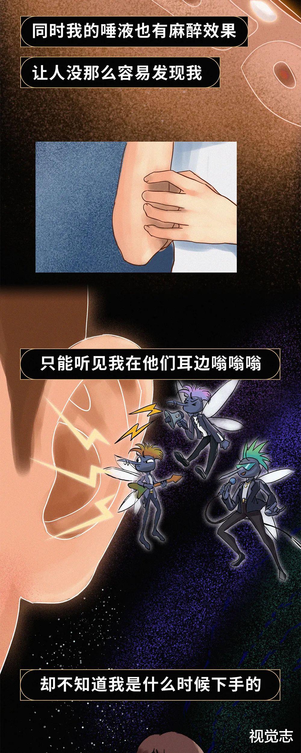 视觉志|因为「她」,我给了自己一巴掌。