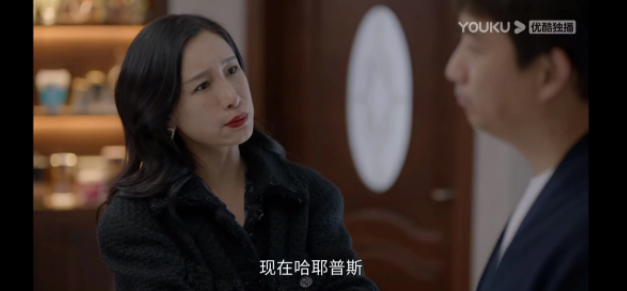 刘小敏|《小敏家》北京两居豪装,两件大衣10万,小敏凭啥这么有钱?