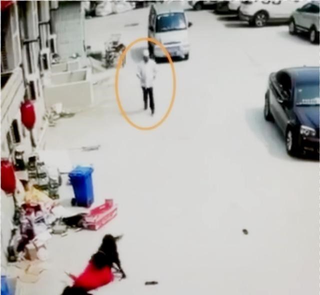 凉白动漫大家族 山东一年轻女子遛狗，公狗突然发情将女子扑倒，疯狂往女子身上蹭