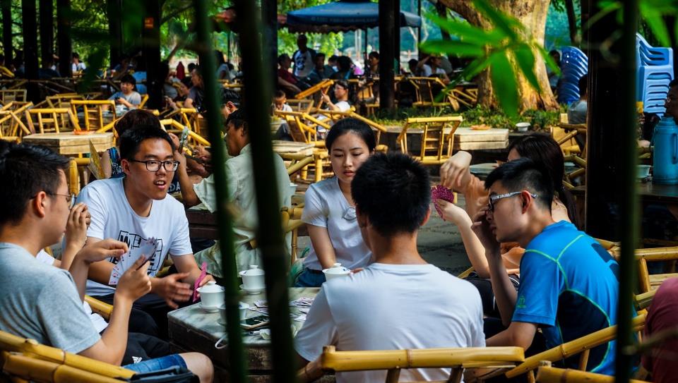 奶球妈咪聊|走进我国三大产茶大省,品极品茗茶,感受源远流长的茶文化