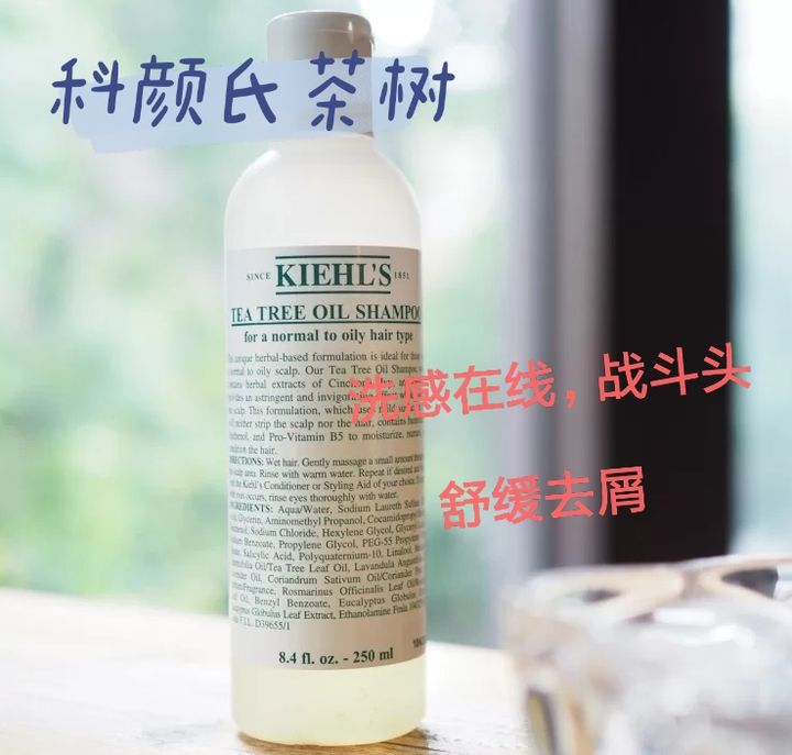kiki有尚 双11吃土也要买的3款洗发水，平价小众、控油去屑，孕妈：整箱屯