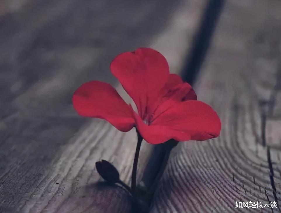 如风轻似云淡|人在单位，要学会有心机