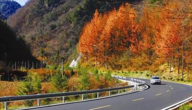 育儿心课堂|江苏“大改变”,改扩建迎“新国道”,长约22公里,位于南京