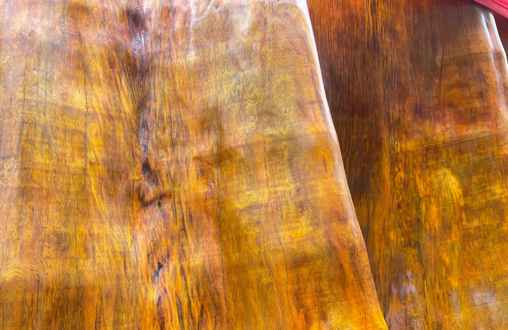 长脖子爸比说|贵阳发现4300年金丝楠木，因渡劫失败被火焚烧，如今价值上亿元