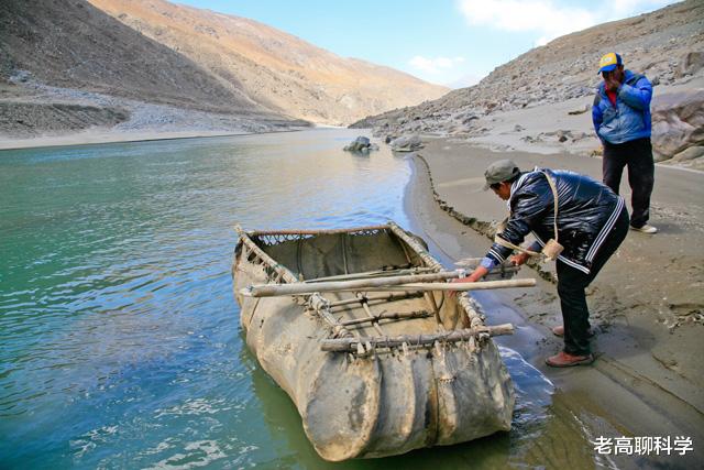 湟鱼 为什么西藏有5亿公斤高原裸鲤，无人敢捕捞，青海却吃得差点绝产