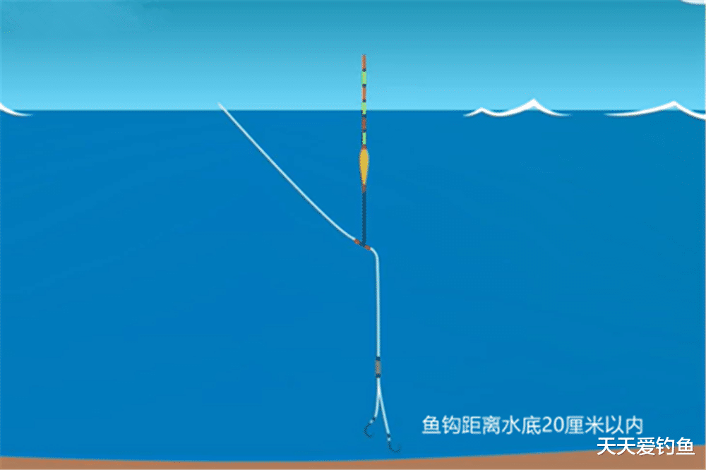 饵料|野钓调漂不能“一劳永逸”，出现这些情况需要微调，提升中鱼率！