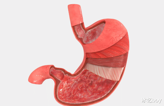 高血压|经常胃不舒服？学会多饮“1水”，多吃“3物”，把胃悄悄养好了