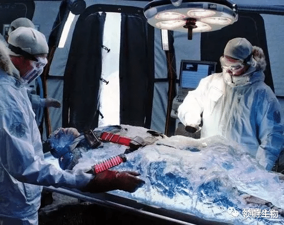 领蔚生物 我国首位冷冻人杜虹,头部被完整保存在美国,计划2065年“复活”