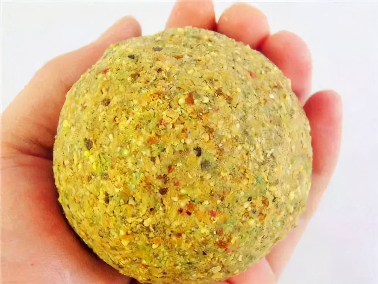 中小学|钓点、打窝、窝料和钓饵，做到这三点，野钓鲤鱼一点也不难