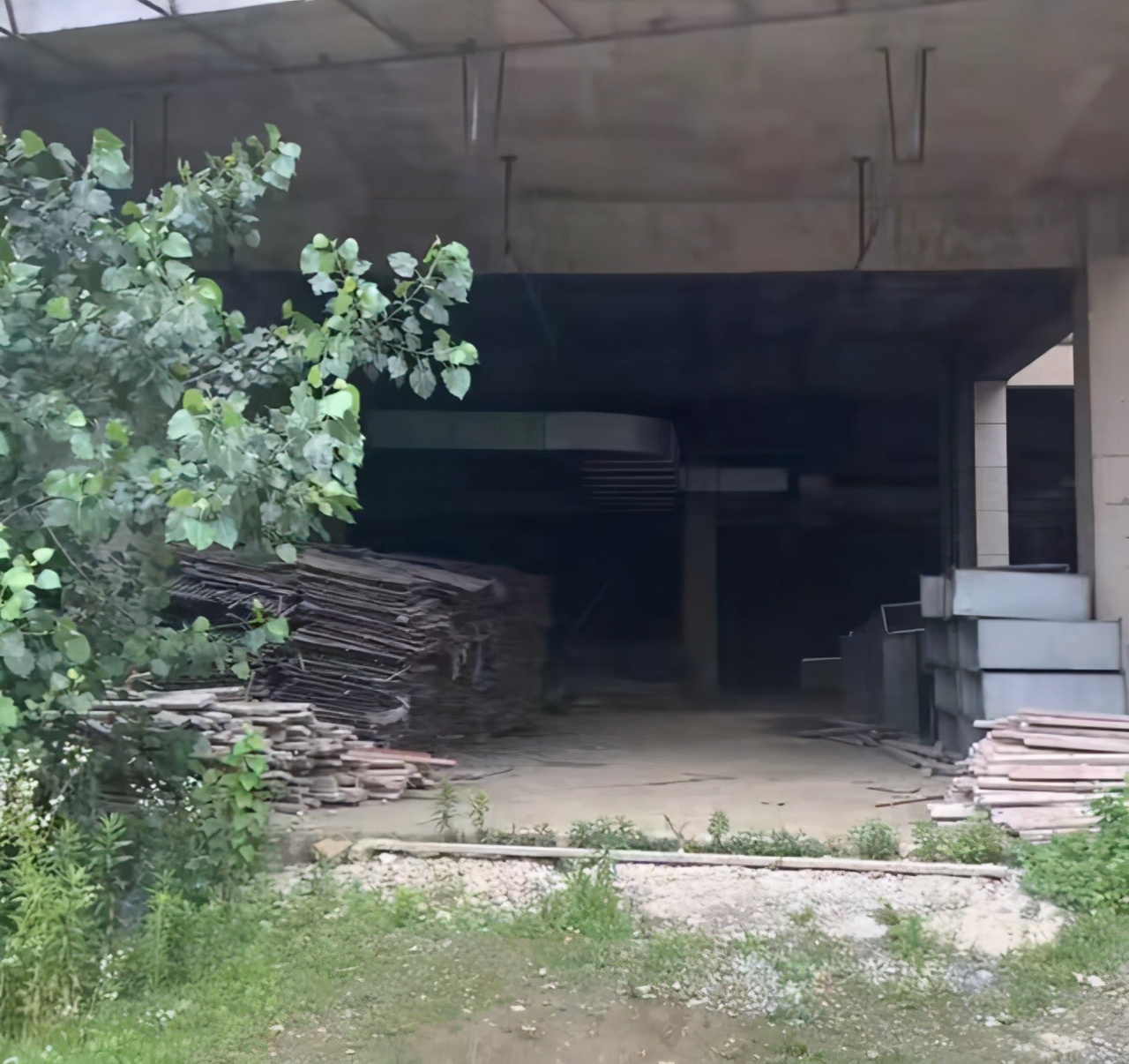 江苏省|江苏无锡，开发商拿钱跑路，业主只能在负一楼养鱼解恨