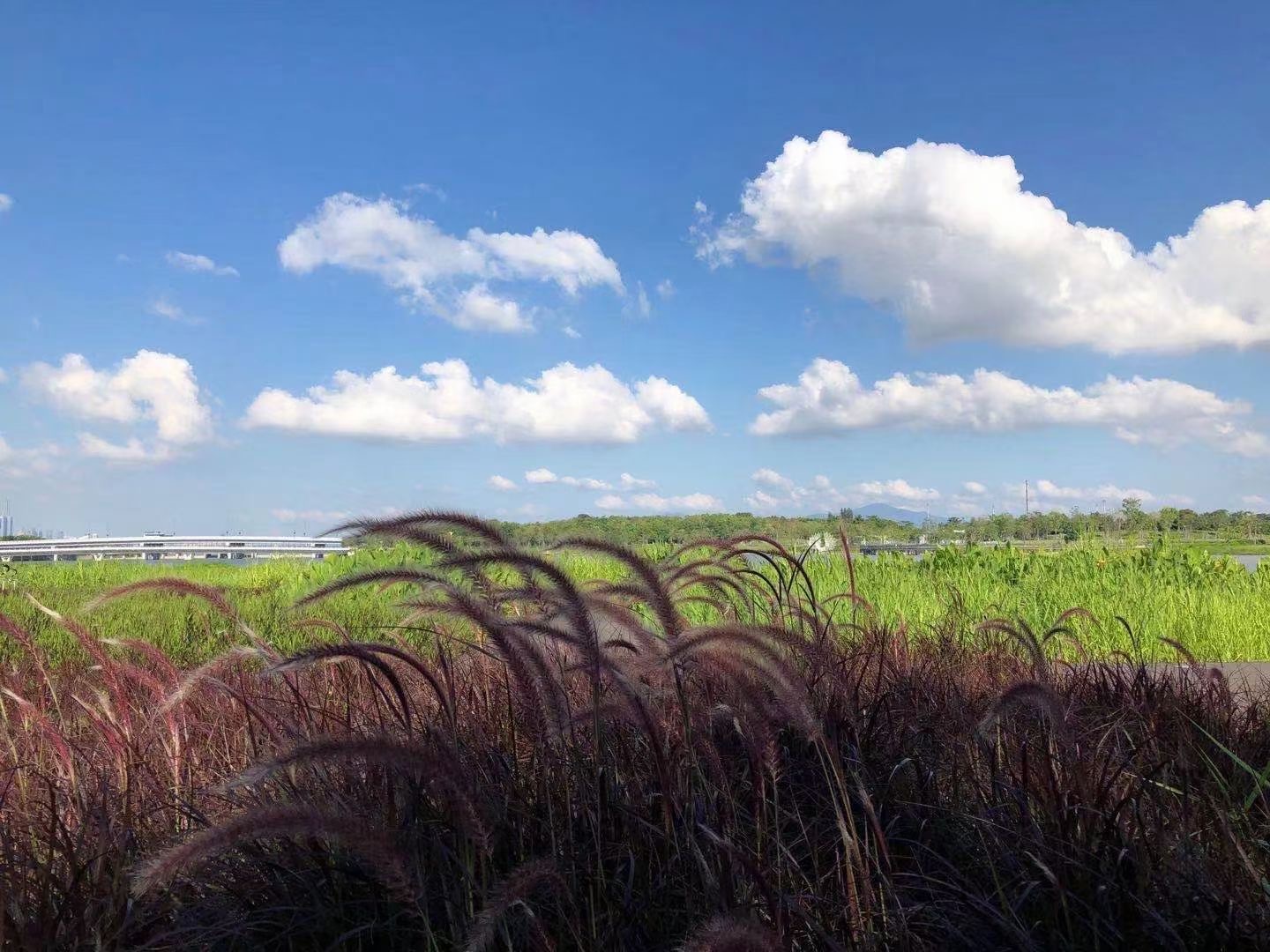 老菜名 大乐透21057期周六开奖，10亿大派奖仅剩两期