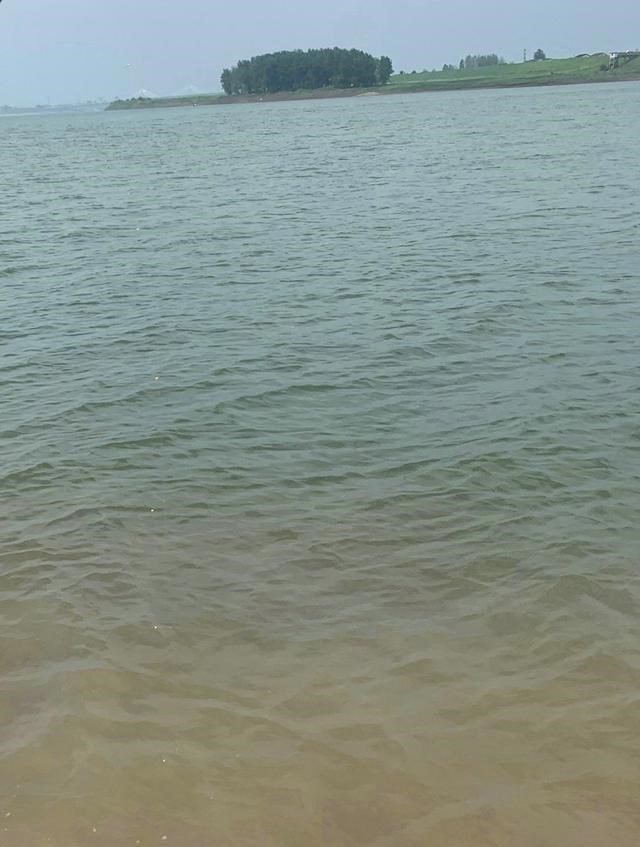 |河蚌也算河鲜？湖南钓鱼人河边捡了几十斤，网友：送我也不吃