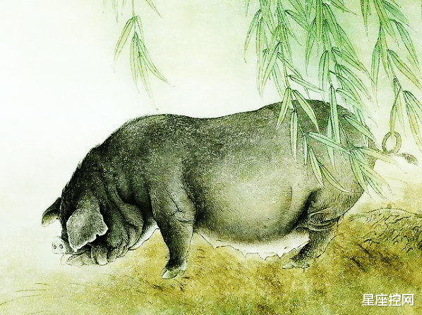 星座控网 属猪人几岁结婚，找到真爱，遇见幸福，不再独自流浪，还越来越富