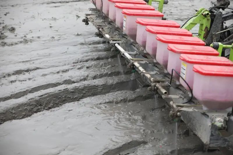 上海奉贤 金汇这个合作社俩人一天种完80亩地，听说现在种粮大户都这么干……