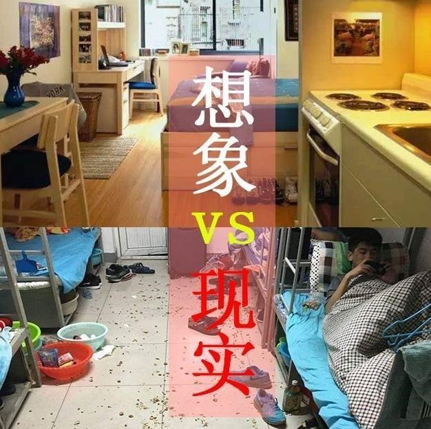 大学|现实中的大学，与自己想象中的大学差距有多大？从天堂坠落的感觉