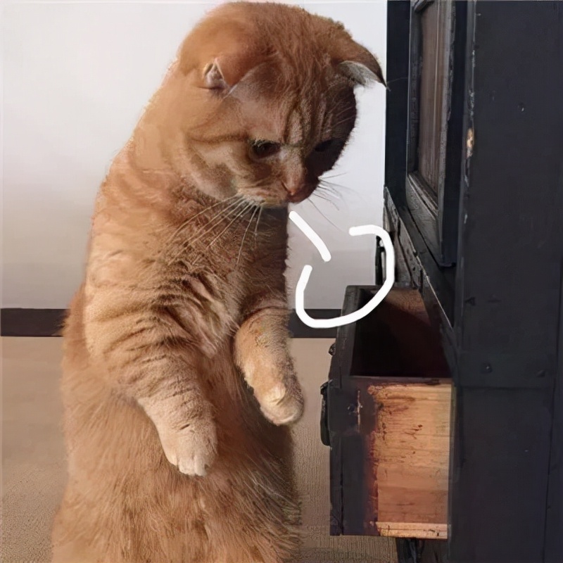 有一种婚房，叫“婆婆给你装的婚房”，难受想哭！