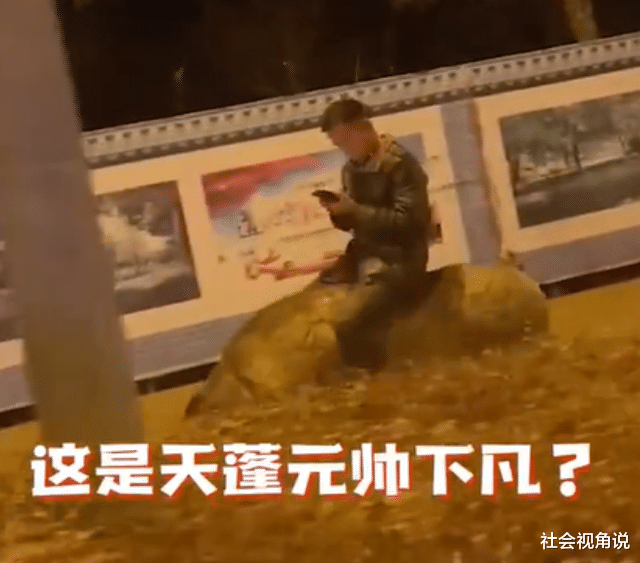 社会视角说 河北深夜街头，男子悠哉骑肥猪溜达，网友：四驱动力真拉风