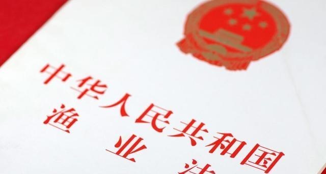 非法捕捞|非法捕白条鱼87条，被判河边“一年游”，钓鱼人对这结果满意吗？