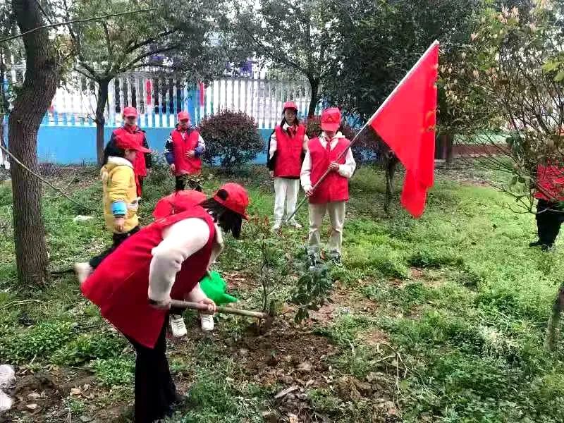 南陵快报 南陵的一群孩子,播下了“绿动力”