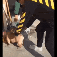 减肥餐|这位女同学，长得好看也没必要这样穿啊，哈哈哈裤子上的拉链好尴尬