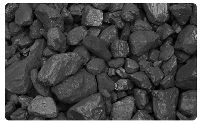 科学家 恐龙为何能成为地球霸主？科学家：一场持续200万年的雨帮了它