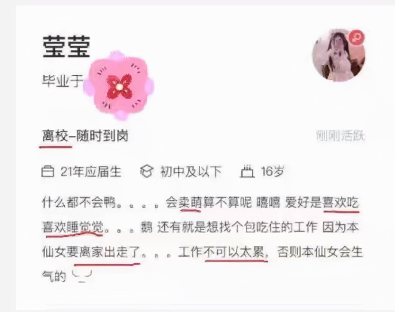 大学生|大学生奇葩简历走红，面试官表示：明明那么普通，但又那么自信