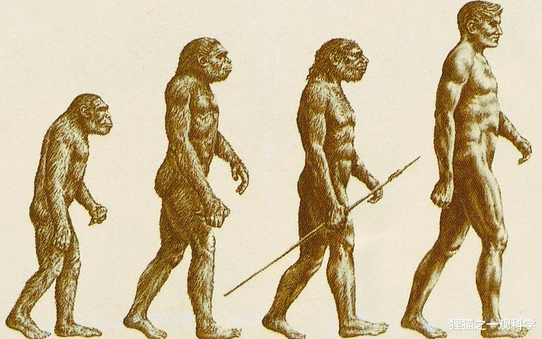 古人类 奥运健儿们为什么那么厉害？考古学家揭示人类进化为运动员的五个原因