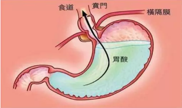 杭吉泰迪干细胞|如何鉴别干细胞的各种误区