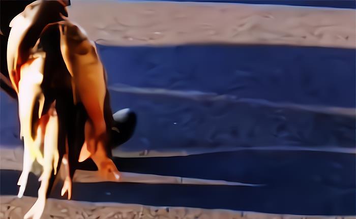 |黄酒流入湖中，鱼儿“喝醉”飘起被人捞走，钓友：给我留几条