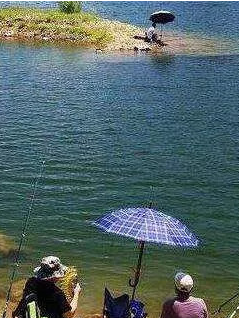 红宝石|你知道鱼“藏”在哪里吗？找到黄金钓位鱼获不会差！——盛世三渔