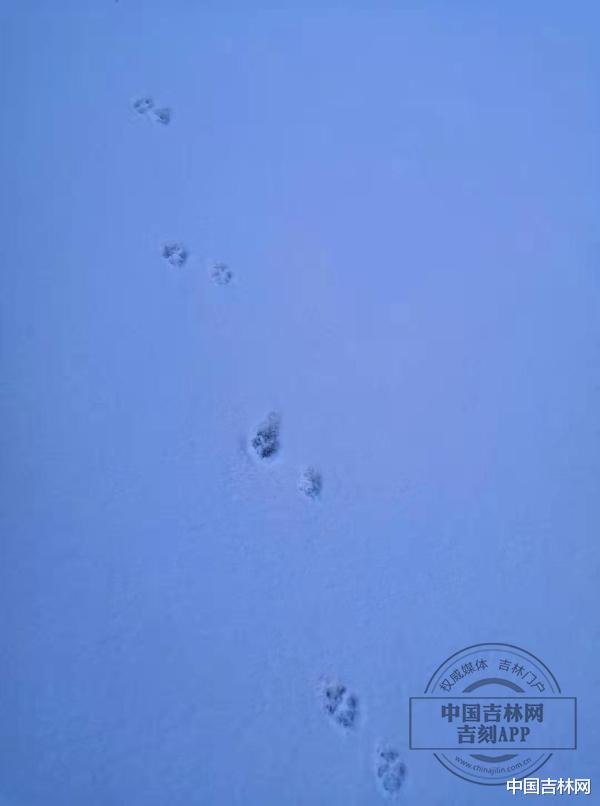 中国吉林网 @长春人 降雪降温都来了 28日出门别忘多穿点