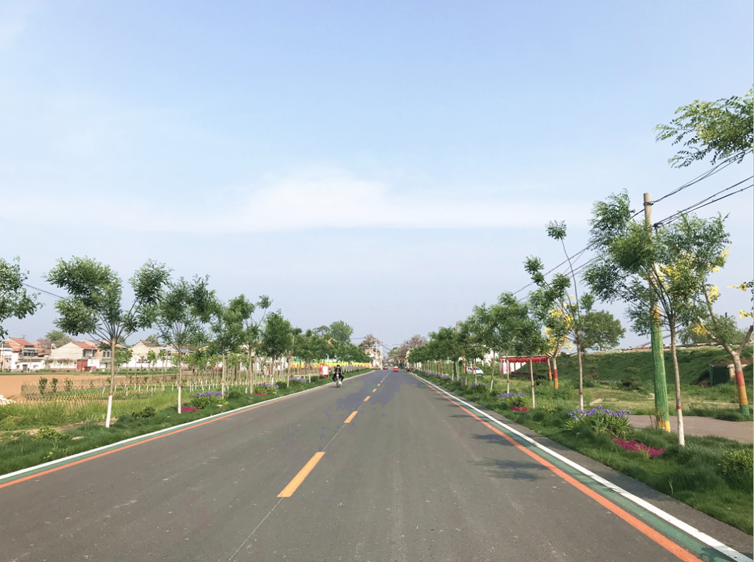 孟州广播电视台 孟州：铺就“四好农村路”，擘画乡村振兴图