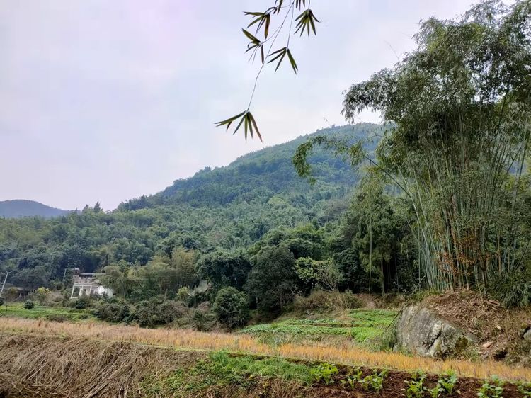 |高山流水，小桥流水