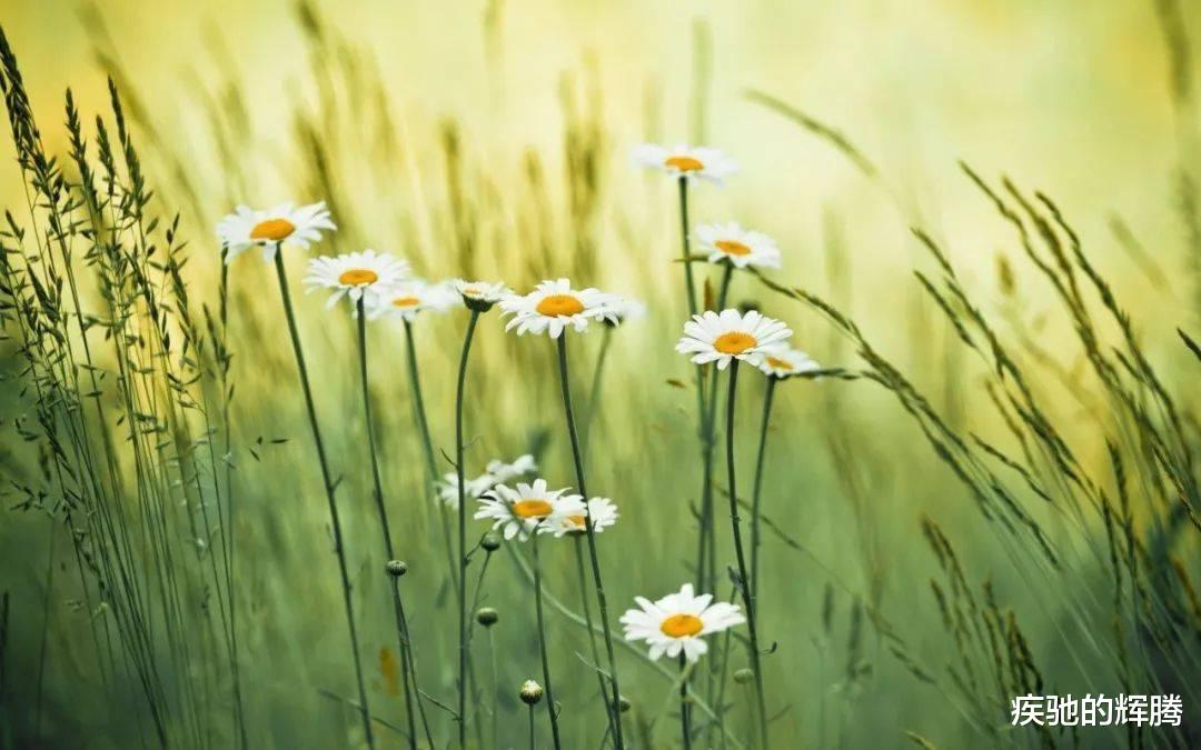 疾驰的辉腾 浙江：男子将辛苦攒下的积蓄借给朋友渡过难关，结果一借就是20多年