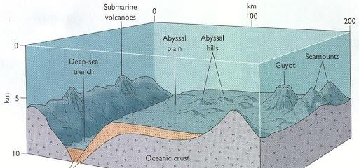 科学家 流入大海泥沙凭空消失了？原来地球已被一条“裂缝”隔开