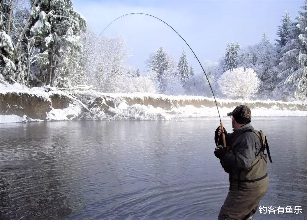 |冬季可以钓的鱼不止鲫鱼一种；这种自制的酒米，天冷钓鲫鱼可连竿