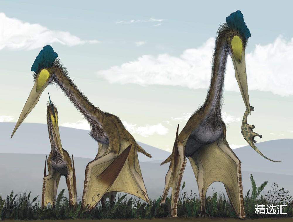 鲸鱼 科学家发现了有长颈鹿那么高的巨鸟！5个奇怪的史前生物发现