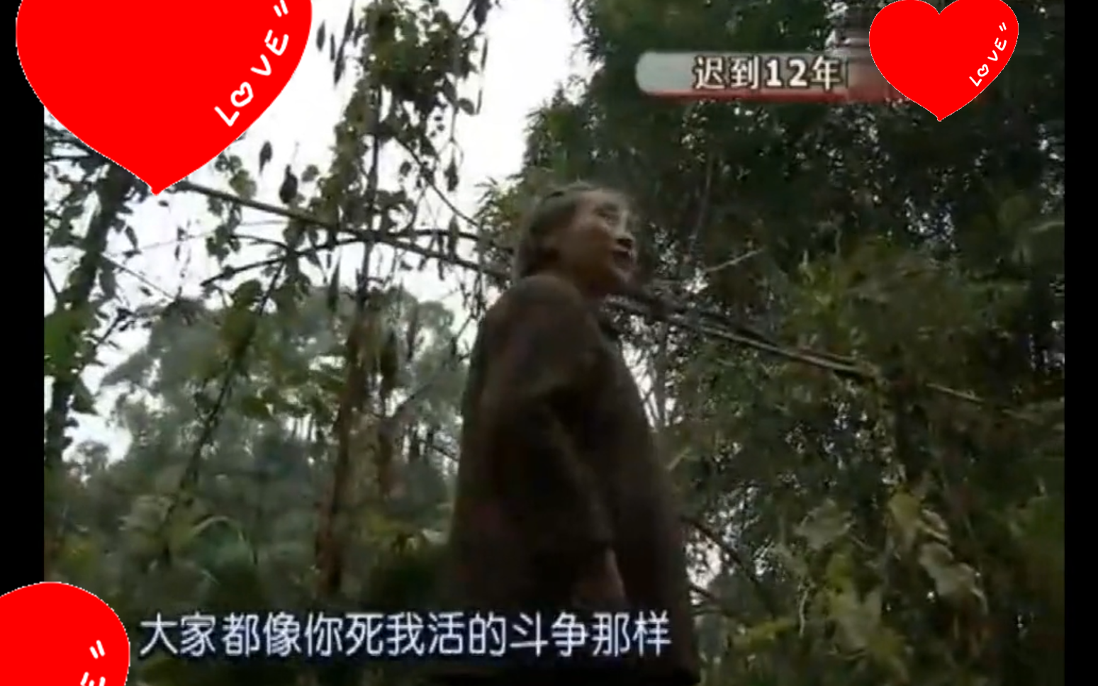 亲生父母打死女婿,出狱后向女儿讨要生活费被拒,母亲不满辱骂