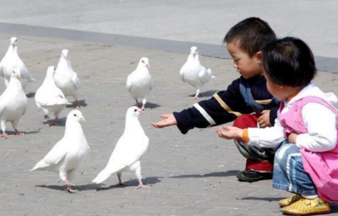 脾胃|此物吃一次，相当于6个塑料袋，家长盲目孩子吃，医生：无知