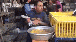 萌萌萌说|“我老婆很像范冰冰，你们是不是嫉妒了？”评论区精彩了！哈哈哈