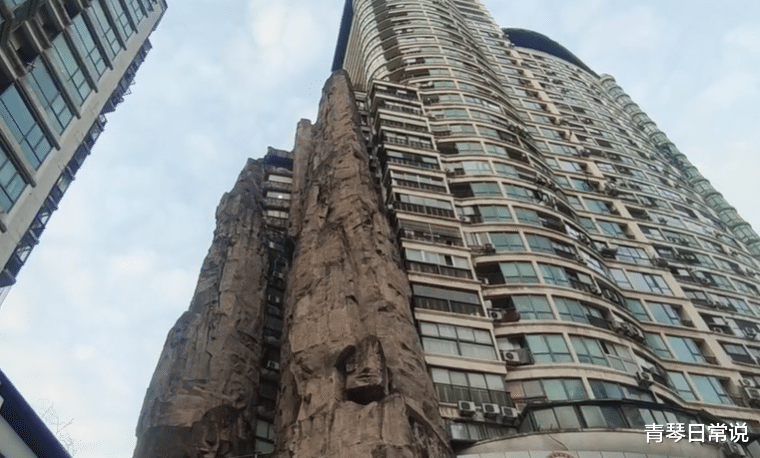 青琴日常说 上海一个“高回头率”小区，挨着大楼建假山，却有一个明显缺点