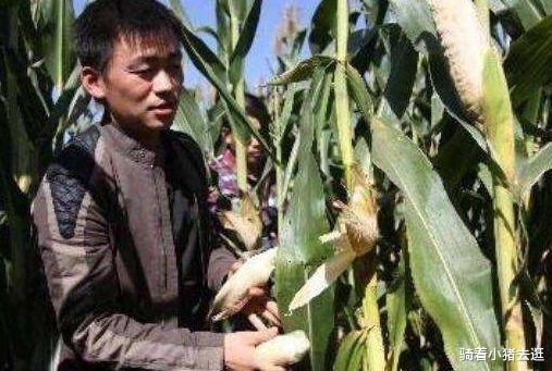 王宝强|王宝强身价早已过亿，亲哥却还在村头卖饼为生，一句话太心酸