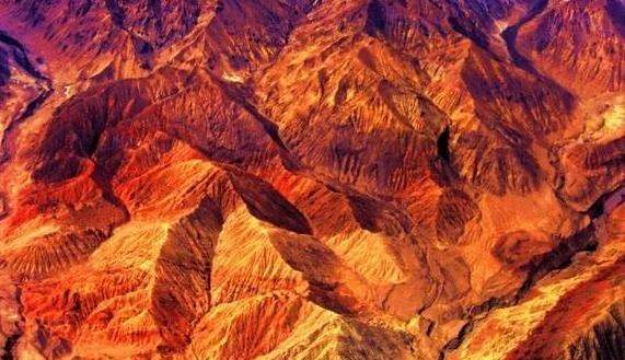 哺乳动物 很少有人知道的10个世界之最