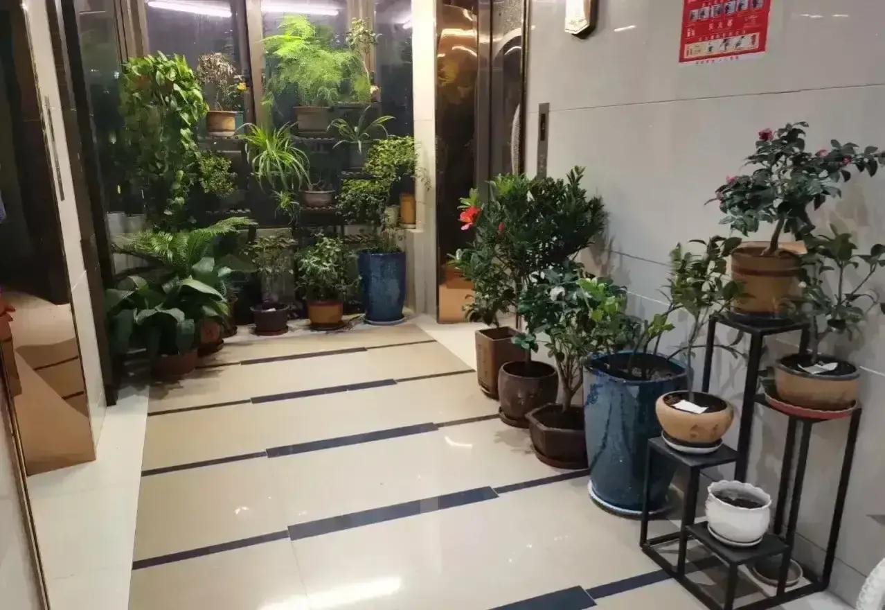 邻居占用走廊养花,影响到出行还有安全隐患,该怎么办?