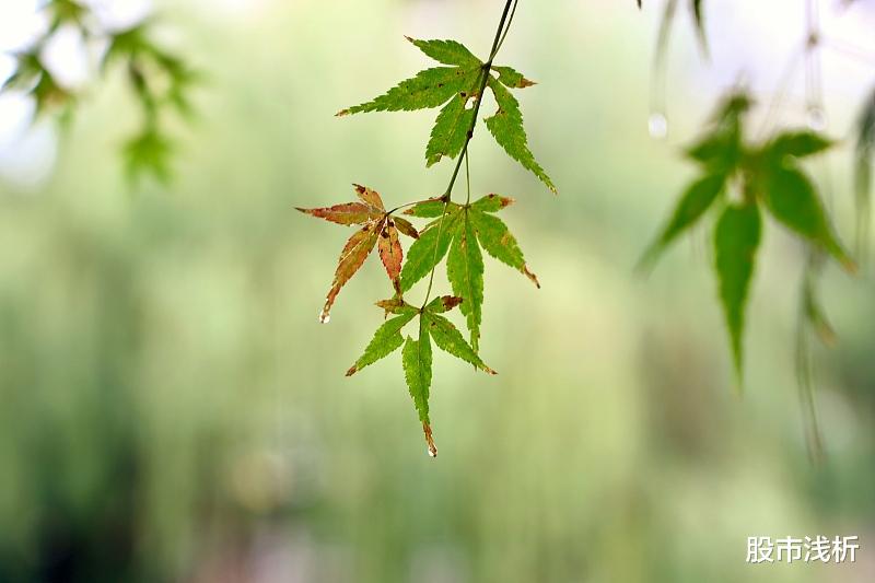 交易 我的交易之道